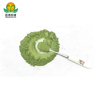 GMP Factory Supply Wheat Grass Juice Powder