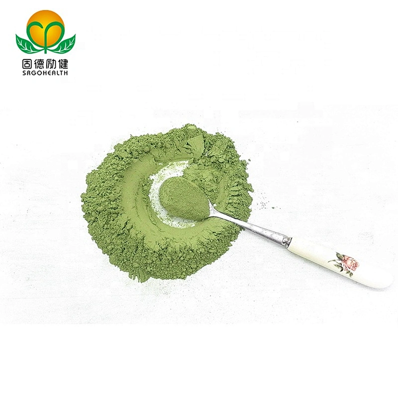 GMP Factory Supply Wheat Grass Juice Powder
