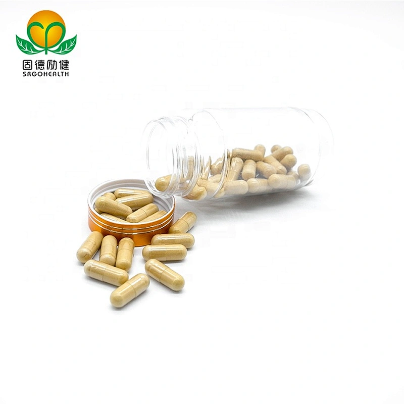 OEM GMP Factory Supply Cordyceps capsule