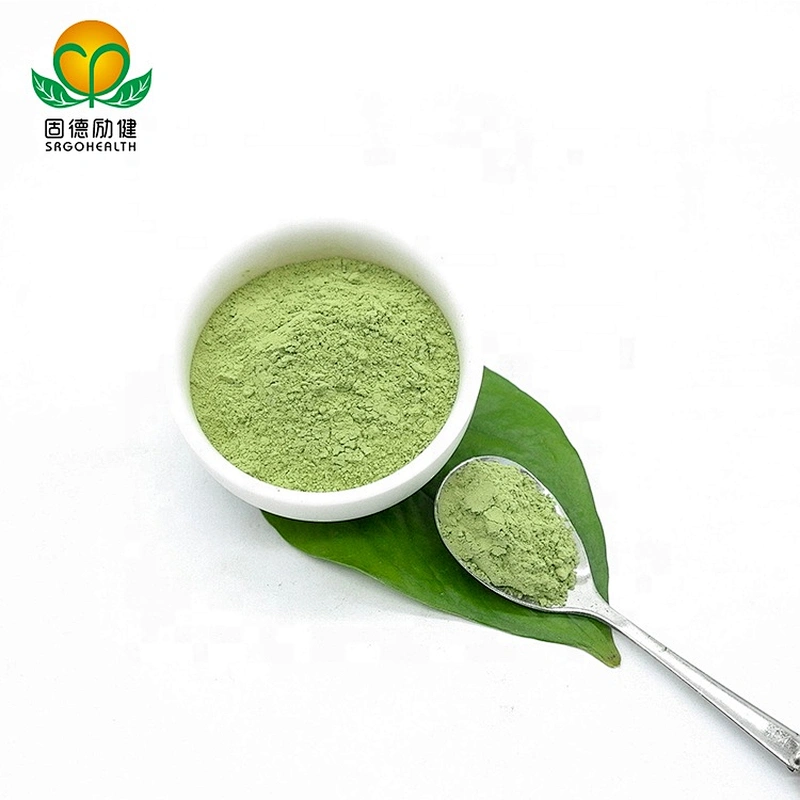 GMP Factory Supply Matcha powder