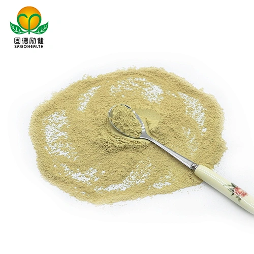 Factory Direct Supply Pure Sophora Japonica Extract Powder Rutin CAS NO 153-18-4