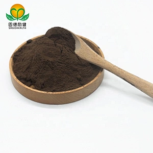 GMP Factory Supply Organic Reishi Extract Powder Ganoderma Extract Powder