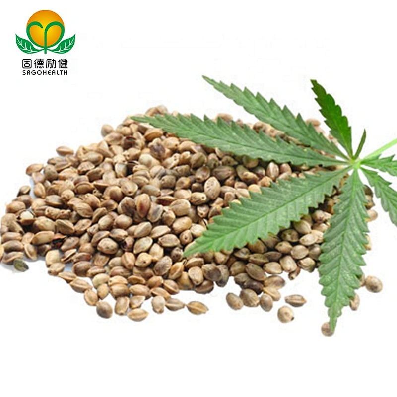 GMP Factory Natural Organic Hemp Seed