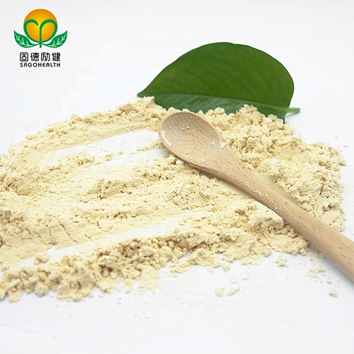 GMP Manufacturer Hemp Protein Powder 60% Protein