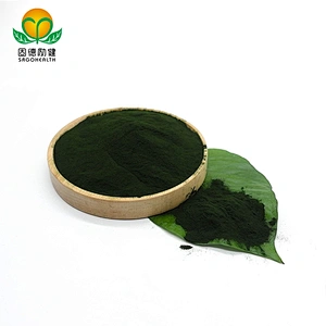High Quality GMP Factory Supply Chlorella Powder