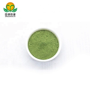 Hot Sales Wheat Grass Juice Powder