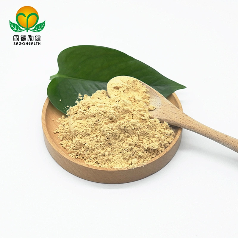 GMP Factory Supply Organic Hericium Erinaceus Extract Powder