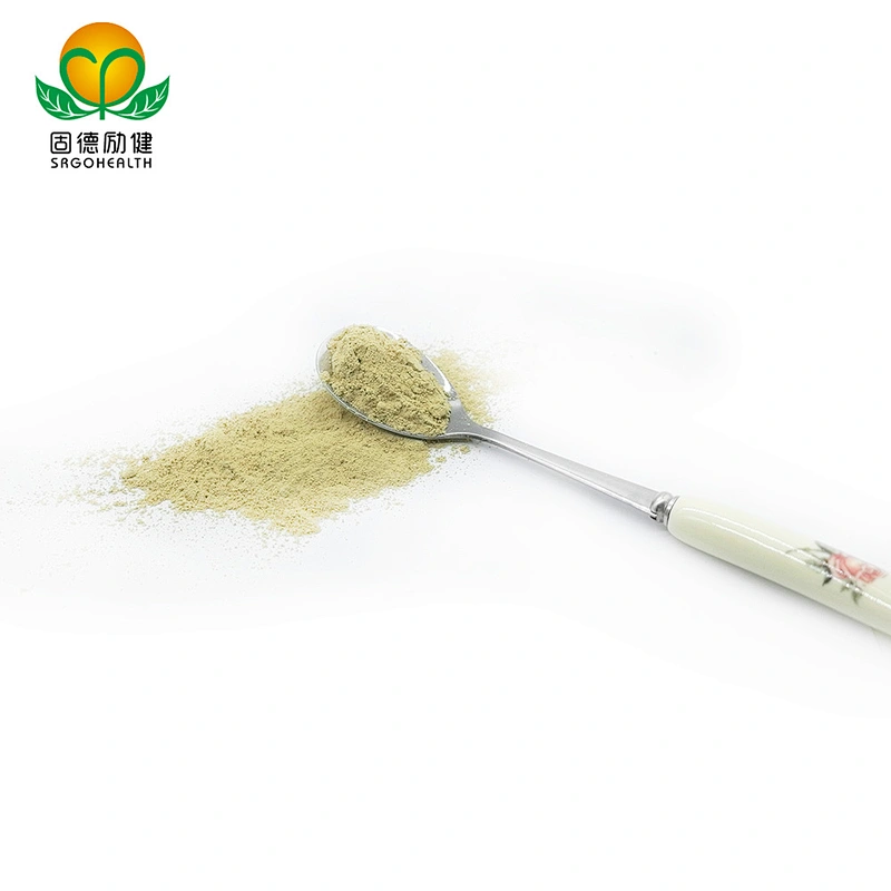 High Quality GMP Supplier Vitamin P Rutin