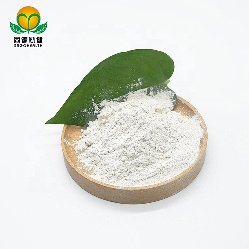 GMP Factory Supply Organic Rice Protein Powder