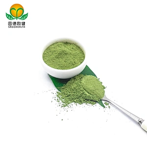 High Quality Natural Organic Wheat Grass Juice Powder