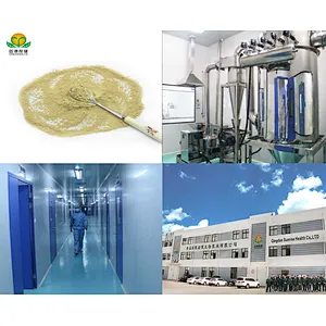 Hot Selling Competitive Price Pure Sophora Japonica Extract Rutin Powder
