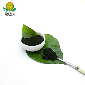 Non-organic Chlorella vulgaris Powder in Bulk EU stock Available