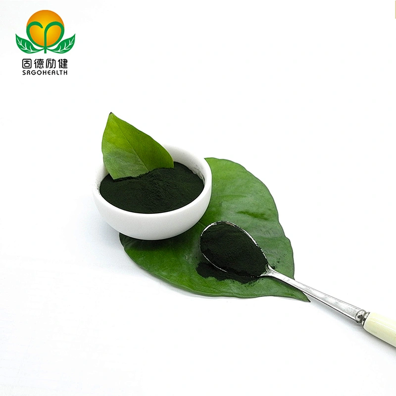 Non-organic Chlorella vulgaris Powder in Bulk EU stock Available
