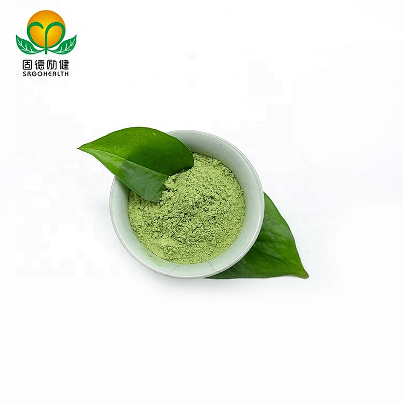 GMP Certified Factory Supply Barley Grass Juice Powder