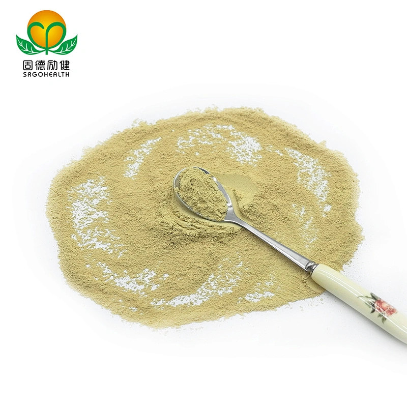 Factory Direct Supply Pure Sophora Japonica Extract Powder Rutin CAS NO 153-18-4