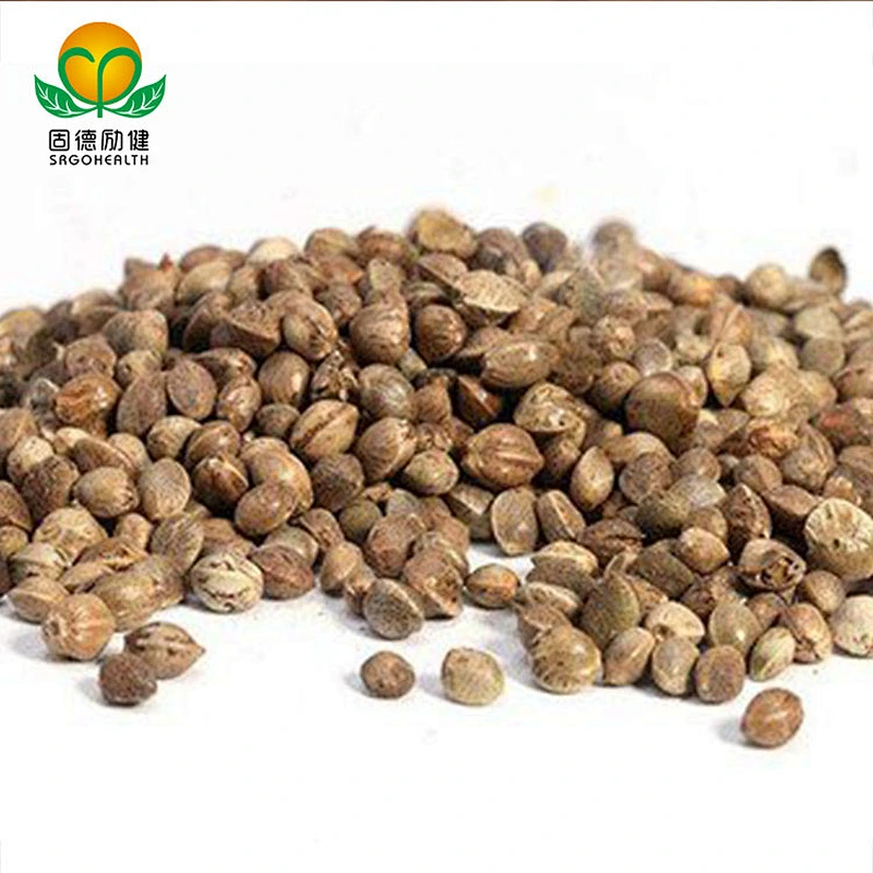Factory Supply Competitive Price Organic Hemp seed