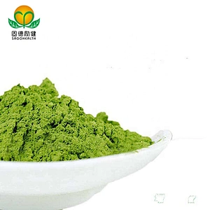 Vegan GMP Factory Supply Kale Powder