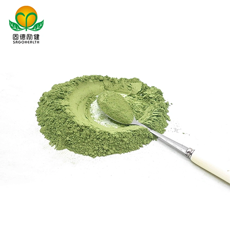 GMP Factory Supply Barley Grass Juice Powder