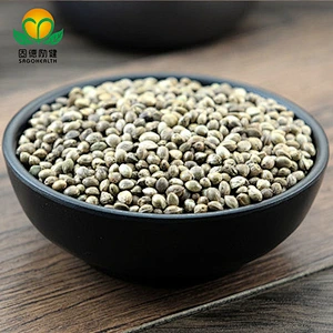 Factory Supply Competitive Price Organic Hemp seed