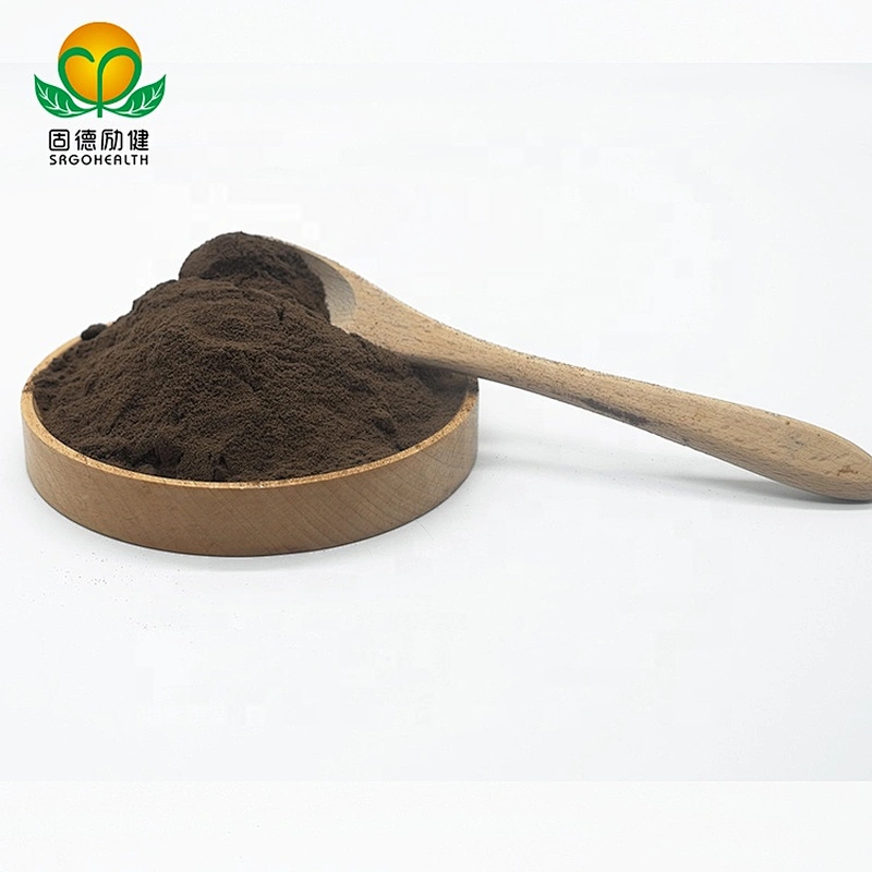 Best Seller High Quality Organic Reishi Extract Powder
