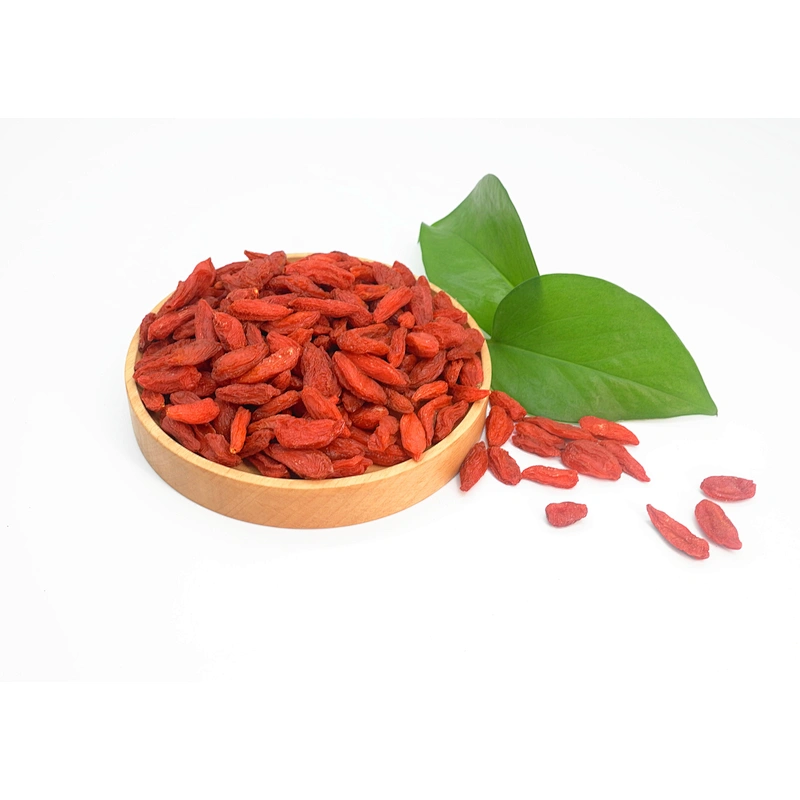 GMP Factory Supply Goji Berries