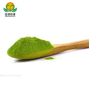 Competitive Price Conventional Matcha Powder