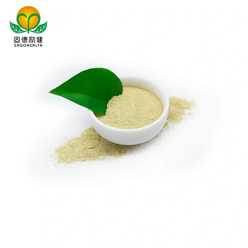 Factory Direct Supply Pure Sophora Japonica Extract Powder Rutin CAS NO 153-18-4