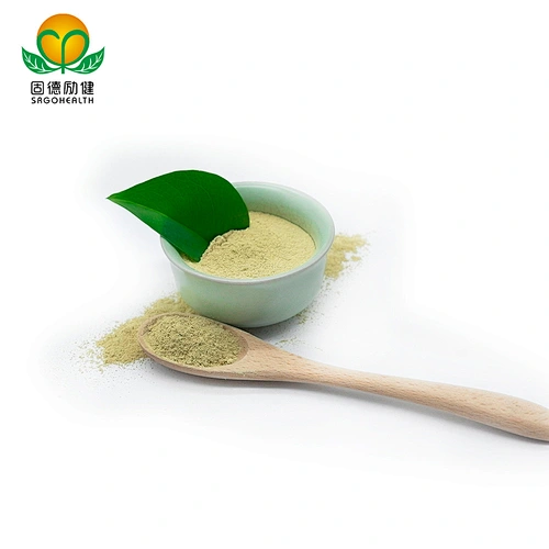 High Quality GMP Supplier Vitamin P Rutin