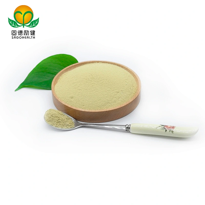 Hot Selling Competitive Price Pure Sophora Japonica Extract Rutin Powder