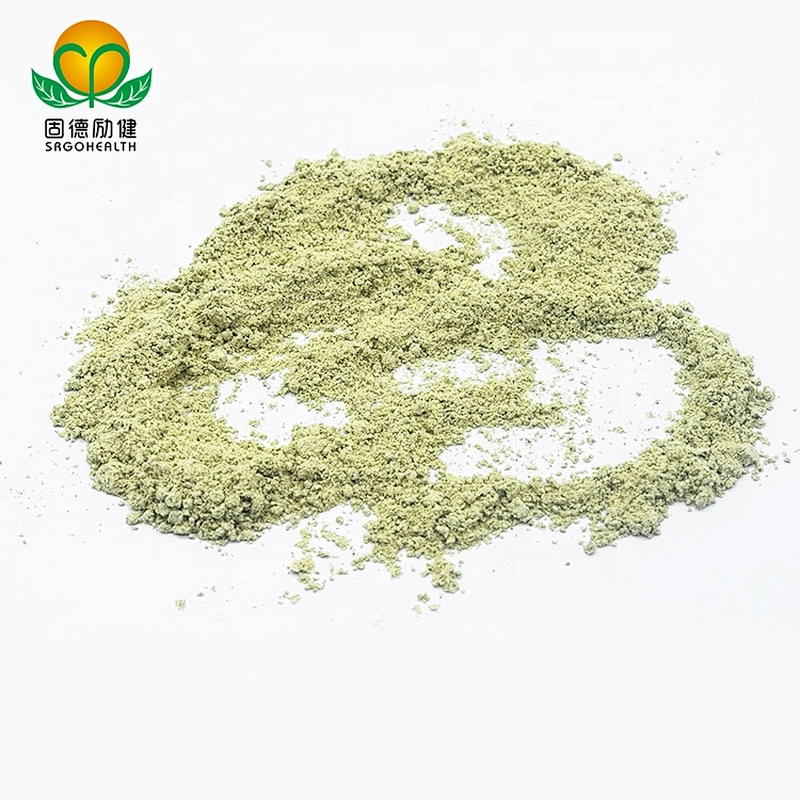 GMP Factory Organic Hemp Protein Powder