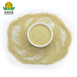 High Quality GMP Supplier Vitamin P Rutin