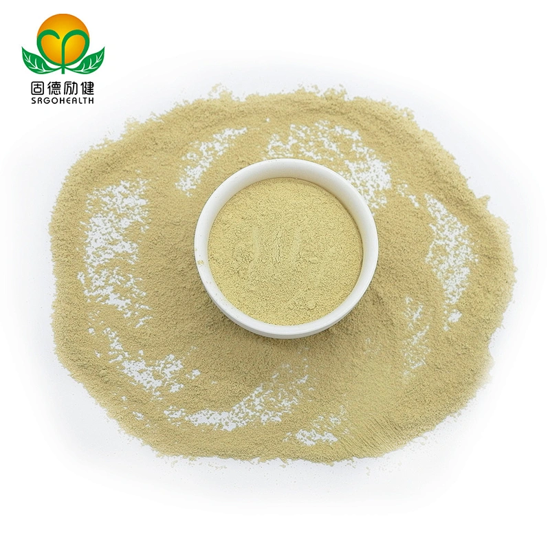 High Quality GMP Supplier Vitamin P Rutin
