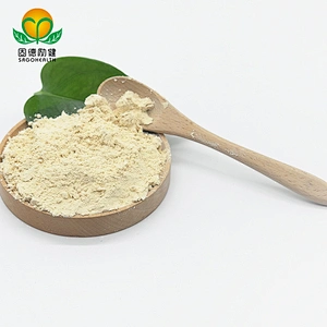 GMP Factory Supply Brown Rice Protein Powder