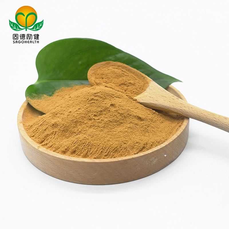 Most Popular Organic Cordyceps Militaris Extract Powder