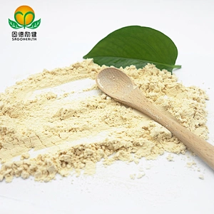 GMP Factory Supply Brown Rice Protein Powder