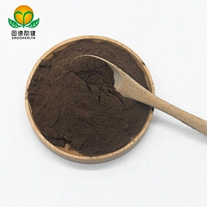Best Seller High Quality Organic Reishi Extract Powder