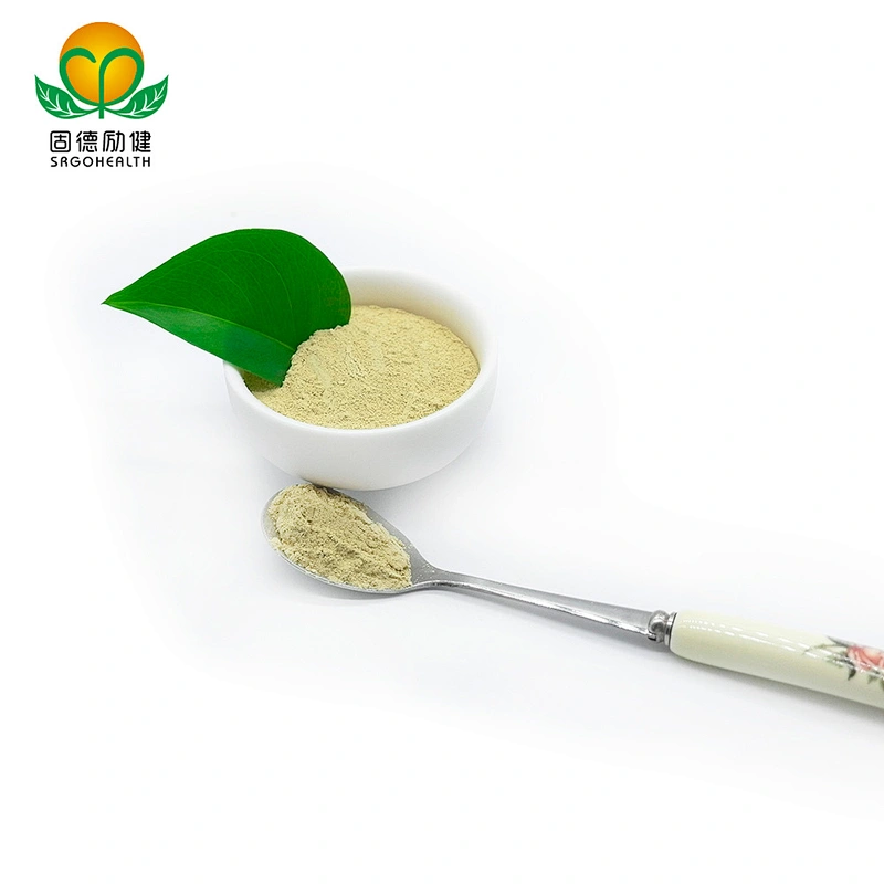 Hot Selling Sophora Japonica Extract Rutin Powder