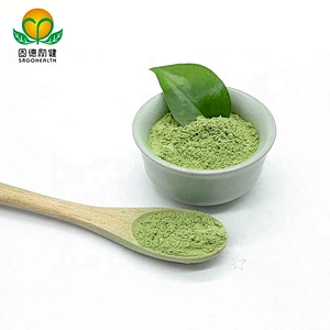EU and NOP Certified GMP Factory Organic Wheat Grass Powder