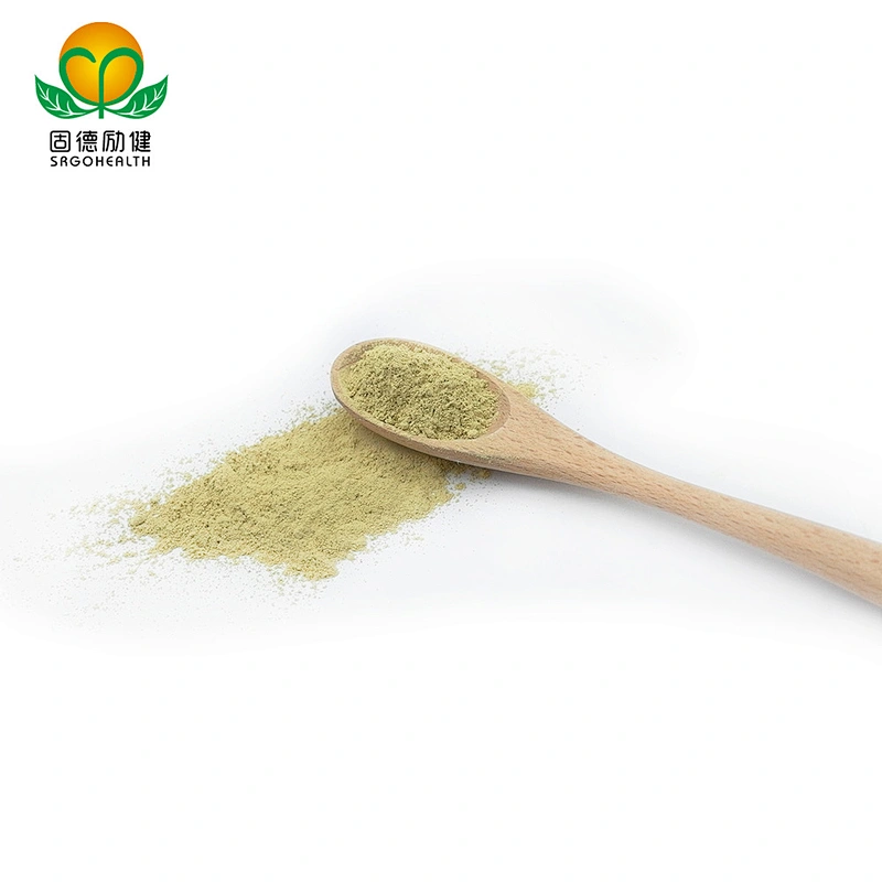 Hot Selling Sophora Japonica Extract Rutin Powder