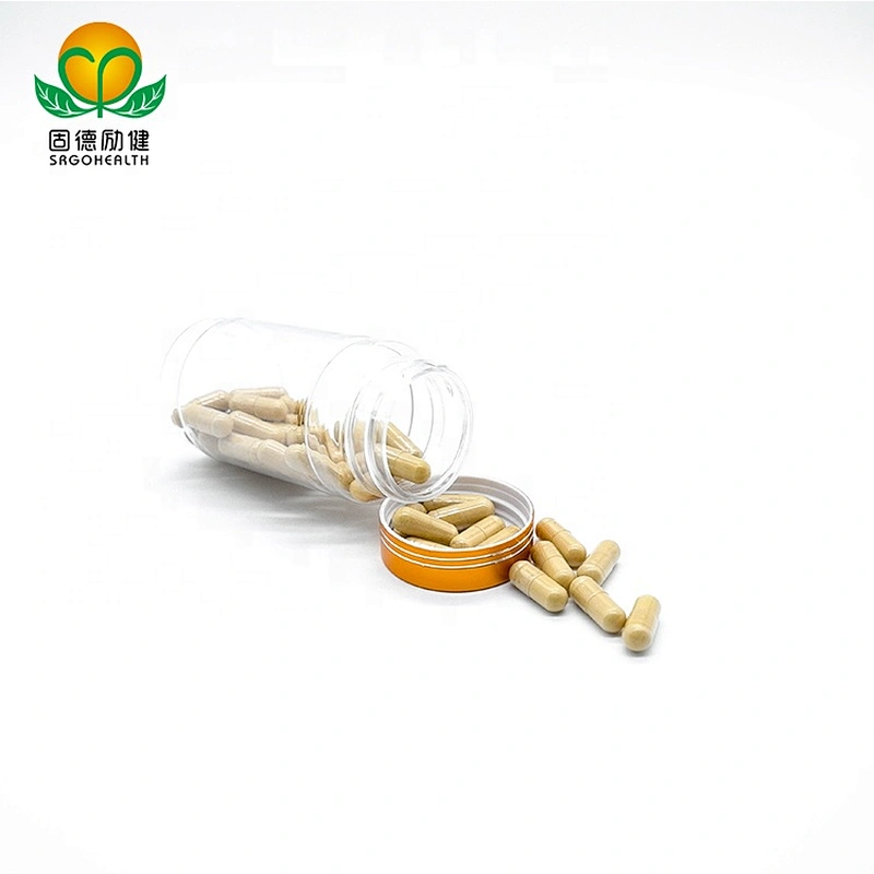 OEM GMP Factory Supply Cordyceps capsule