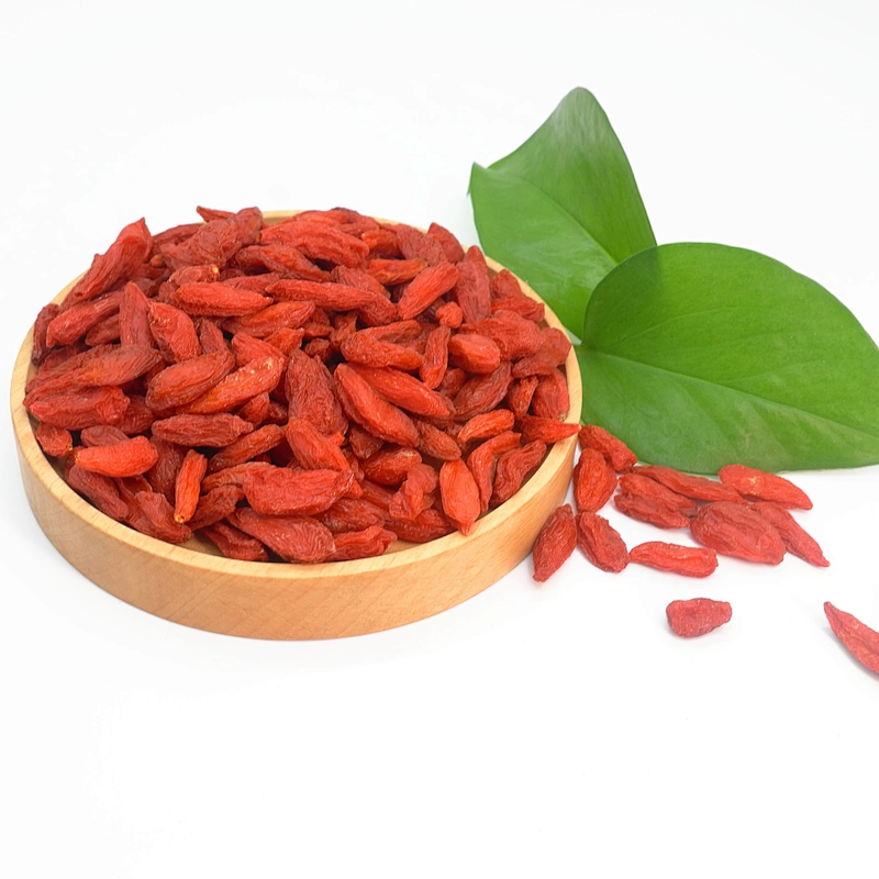 Hot Sales Factory Supplement GMP Certified Organic Goji Berries