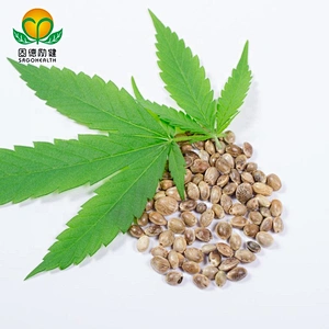High Quality GMP Factory Supply Hemp Seed