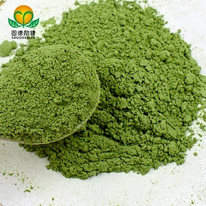 Hot Sales Wheat Grass Juice Powder