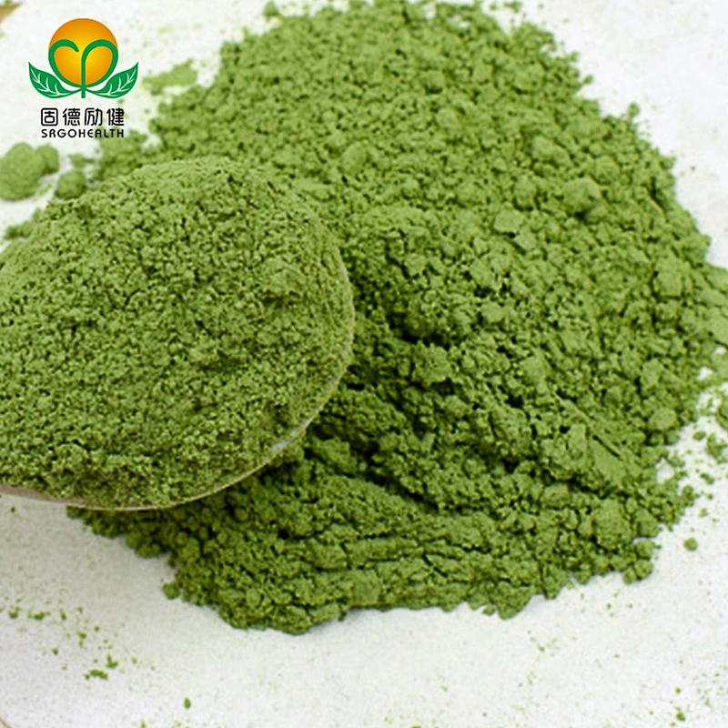 Hot Sales Wheat Grass Juice Powder