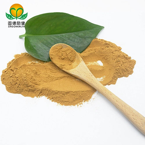 Competitive Price Cordyceps Militaris Powder