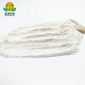 GMP Factory Supply Organic Rice Protein Powder