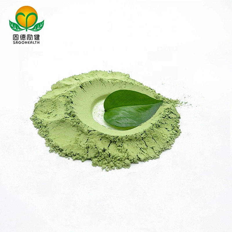 Vegan GMP Certified Wheat Grass Powder