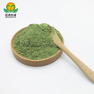 GMP Factory Supply  Wheat Grass Powder