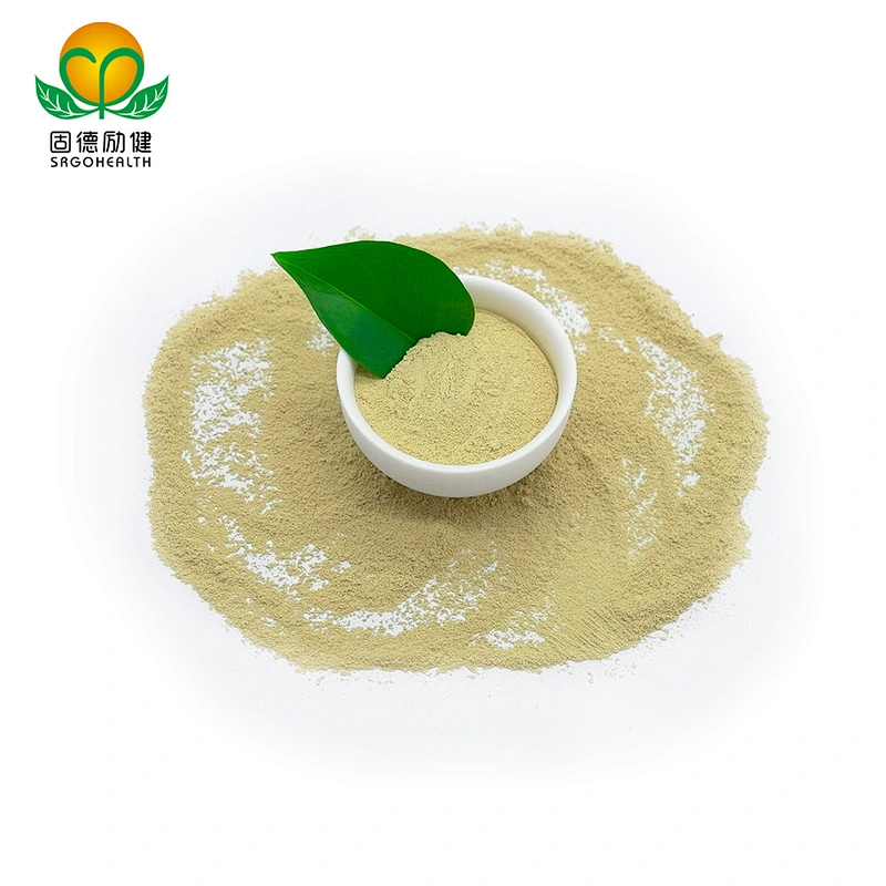 High-quality Hot-selling in Amazon GMP Factory Rutin