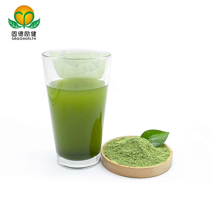 GMP Factory Supply Kale Powder